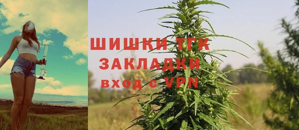 МДПВ Абаза