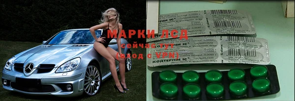 стафф Алексин