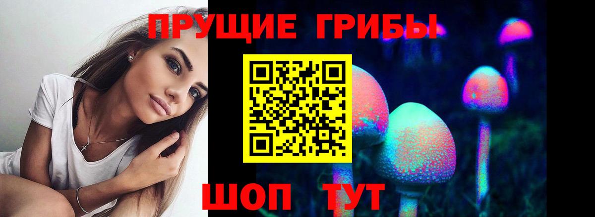 Галлюциногенные грибы Psilocybe Нягань